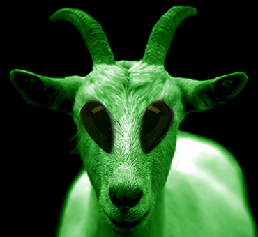 Alien Goats